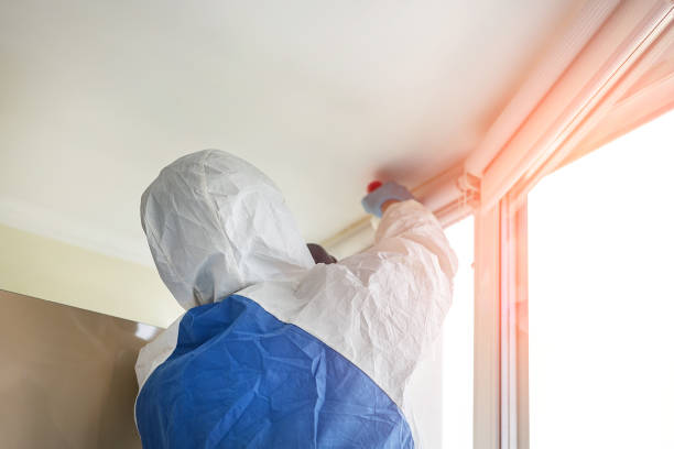 Best Biohazard Mold Removal  in Wtell, LA