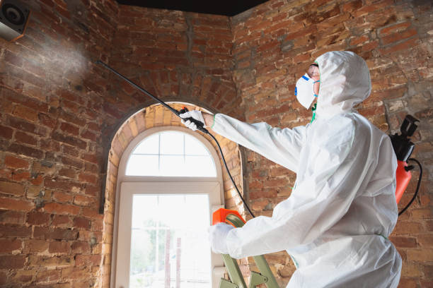 Best Mold Removal for HVAC Installations  in Wtell, LA